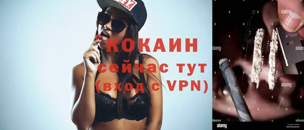 ГАЛЛЮЦИНОГЕННЫЕ ГРИБЫ Горняк