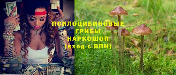 ГАЛЛЮЦИНОГЕННЫЕ ГРИБЫ Горняк