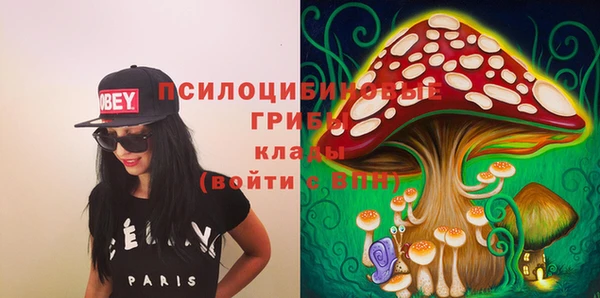 ГАЛЛЮЦИНОГЕННЫЕ ГРИБЫ Горняк