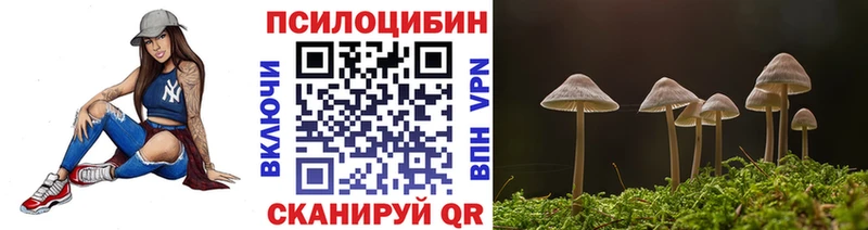 Псилоцибиновые грибы Cubensis  кракен ТОР  Нея 